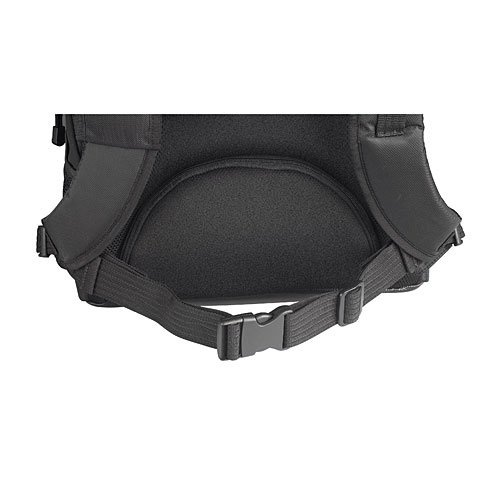 targus-teb01-campus-laptop-rucksack-15-16-zoll-schwarz image 6